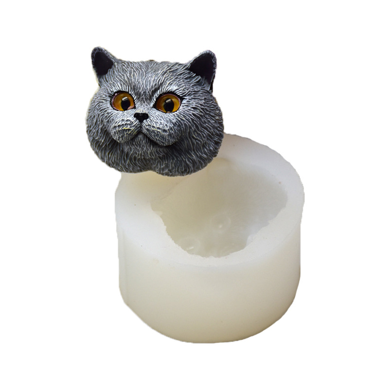 Soap Making Dish - Moule en silicone en forme de