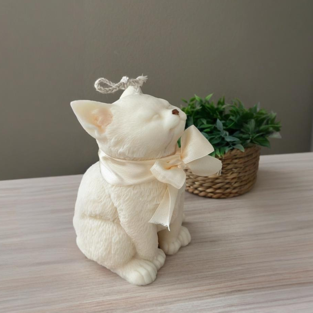 Moule en Silicone pour chat so - Soap Making Gifts avis et prix