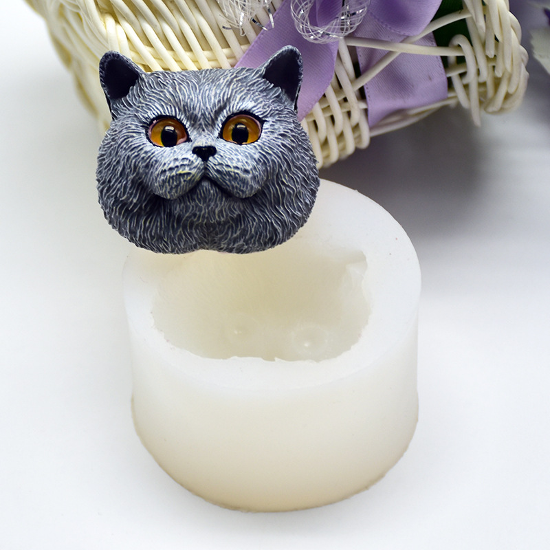 Moule en silicone en forme de  - Soap Making Dish avis et prix