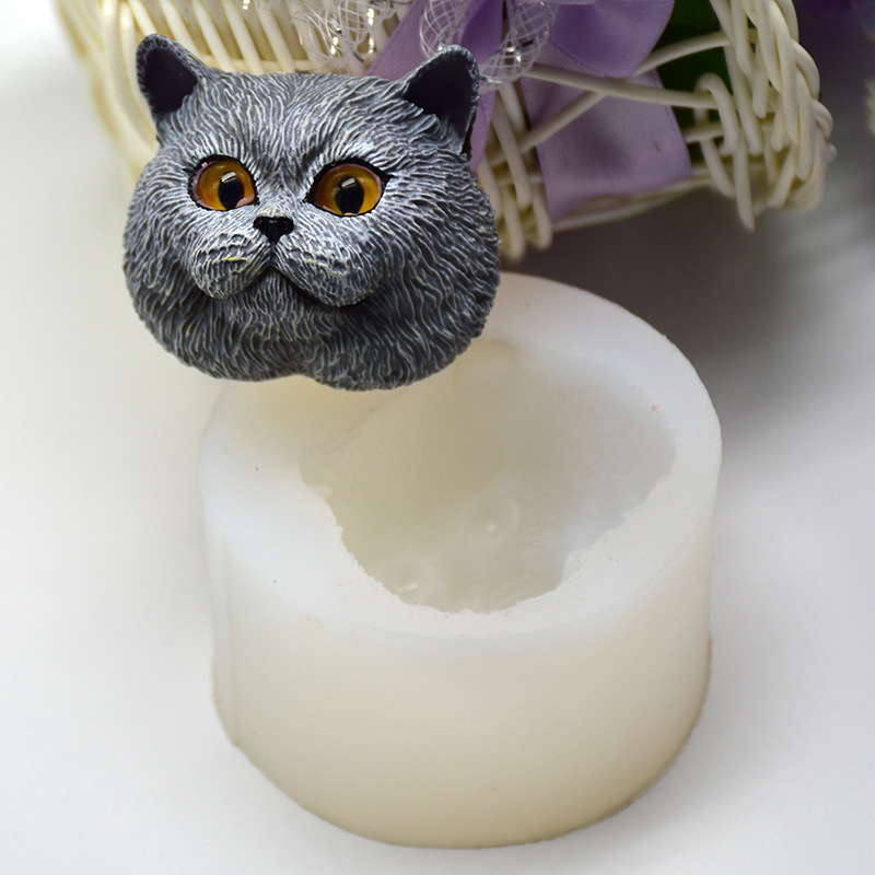 Moule en silicone en forme de  - Soap Making Dish avis et prix
