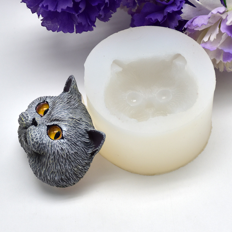 Moule en silicone en forme de  - Soap Making Dish avis et prix